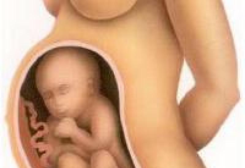 Alles über die einunddreißigste Schwangerschaftswoche Gefühle werdender Mütter