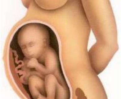 Alles über die einunddreißigste Schwangerschaftswoche Gefühle werdender Mütter